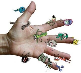 microbes and parasites on the human hand