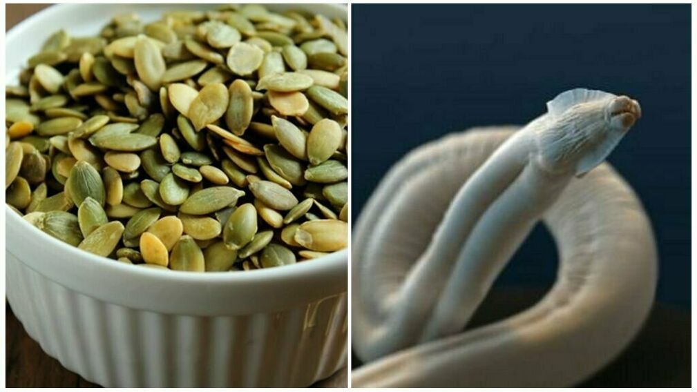 pumpkin seeds vs worms