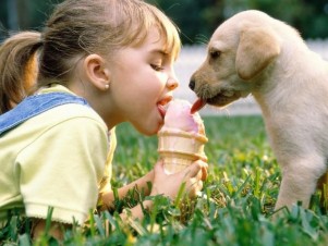 The transmission through pets