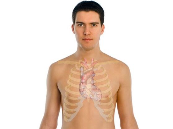 How parasites affect human organs.