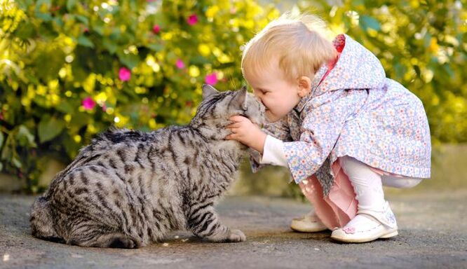 A boy kisses a cat and becomes infected with worms.